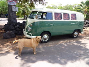 honaunau