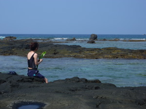 honaunau