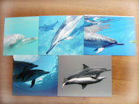 postcard